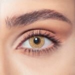 Bella Hazel Beige - Daily